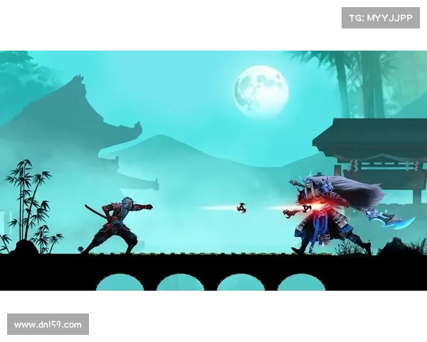 暗影忍者:逐影追光,叱咤风云 暗影忍者:逐影追光,叱咤风云