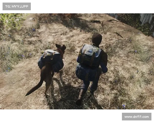 辐射4:狗肉装备全解析 辐射4:狗肉装备全解析